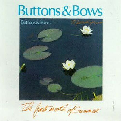 Buttons and Bows : The Brock McGuire Band